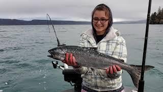 Winter King Salmon Fishing in Homer, Alaska