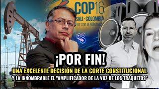  ¡POR FIN! UNA BUENA DECISIÓN DE LA C. CONSTITUCIONAL. Y LA INNOMBRABLE  LA "VOZ DE LOS TRAQUETOS"