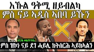 እኹል ዓቅሚ ዘይብልካ ፥ ምስ ናይ ኣዲስ ኣበባ ይኹን ምስ ዝኮነ ናይ ደገ ሓይሊ ክትሰርሕ ኣይክኣልን ።ኣቶ ሰንጋል ወልደትንሳኤ ።sengal weldetnsae