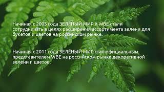 ЗЕЛЁНЫЙ МИР / GREEN WORLD