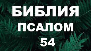 Псалтирь. ПСАЛОМ 54. [рус.]