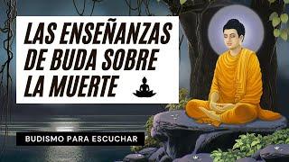 Las Enseñanzas de Buda Sobre la Muerte | Recorrer la Vía del Budismo ️ Perlas Budistas de Sabiduría