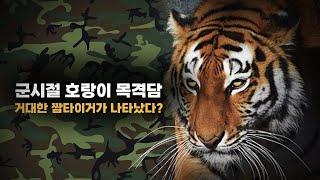 전방 군인들이 호랑이를 보았다?! | 군시절 대형맹수 목격담 이야기