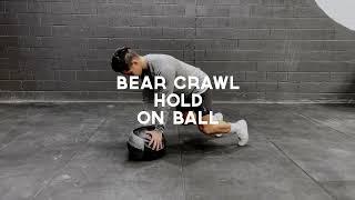 Bear Crawl Hold  - ProForm Physiotherapy