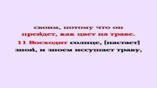 Видеобиблия. Послание Иакова. Глава 1