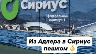 Прогулка из Адлера в Сириус пешком / Море чистое / Пляж свободный ️