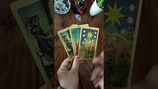 Hindi tarot card reading today @jyotithelightinsidetarot24 #tarot #tarotcardreading