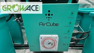 Growace Air Cube ebb and flow hydroponic system is set up with a couple modifications.