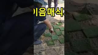 잔디식재(어긋나기식재,이음매식재)조경기능사