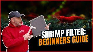 Shrimp Tank Filter | Best Filter for a Shrimp Tank [Shrimp Saturday]