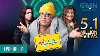 Standup Girl Episode 1 | Zara Noor Abbas | Danyal Zafar | [ Eng CC ] 21st Dec 2023 | Green TV