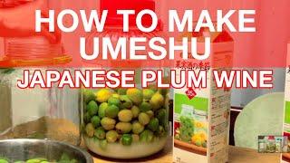 How to Make Umeshu, or Japanese Plum Wine [iPhone 4S/HD]