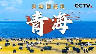 三江源、青海湖、祁连山，3大国家公园连连看！探访世界最大光伏园区，175米集热塔上看“光伏海洋” | CCTV「共和国巡礼 庆祝中华人民共和国成立75周年特别节目」20240927