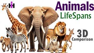 Animals Average LifeSpans : 3D Comparison