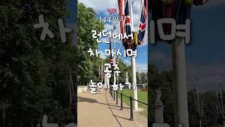 런던에서 스콘에 티 마시면서 공주 놀이  영국 어학연수