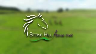 Stone Hill horse trek New Zealand