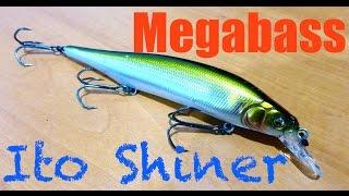 Megabass Ito Shiner Review + Underwater Footage