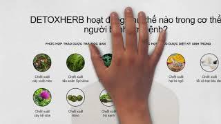 Detoxherb | Thuốc diệt ký sinh trùng Detoxherb có tốt không? Mua ở đâu? Giá bao nhiêu?