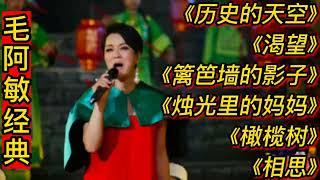 毛阿敏经典歌曲《历史的天空》《渴望》《篱笆墙的影子》《相思》