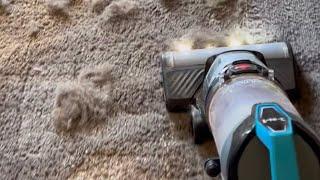 Bissell MultiClean Allergen Lift Off Pro Vac Vs Dirty Rug