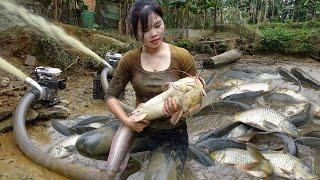 Greatest Fishing Video | Harvesting Lots Of Big Fish in the Pond Goes To Countryside Market Sell