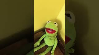 Noooooooooooooooo not the silly goose police #funny #comedy #memes #kermit #justayoutubefan