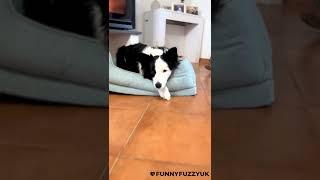 It's really soft and cosy!｜funnyfuzzy | fuzzynow