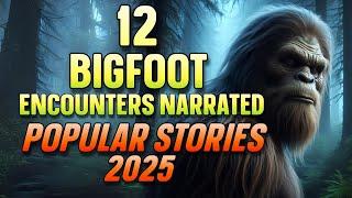 12 BIGFOOT ENCOUNTERS NARRATED POPULAR STORIES 2025