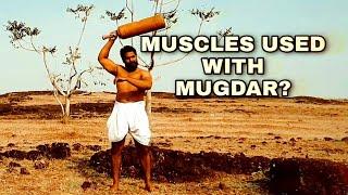 Which Muscles Are Used While Doing Indian Clubs? मुगदर फेरने से कोणसे स्नायू सशक्त होते है?