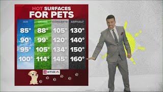 High heat means scorching hot sidewalk pavement for pets