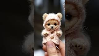 Cute mini puppy 4