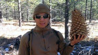 On The Trail with Andy Tran from InnerBark Outdoors