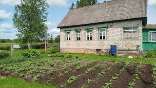 Уй шахарга 5км. 46 сотих, 62²м Мактаб, Магазин, Свет, Сув. 1.200.000 руб