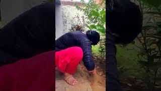 Ishq with Kitchen Gardening #song #love #ytshort #lovesong #bolleywoodsong #dance #ytshortsvideo
