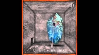 Flying Lotus Featuring Earl Sweatshirt - Between Friends