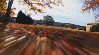 6S FPV Freestyle 11-14-23, "NOE is fun"