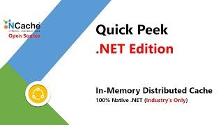 Quick Peek  (.NET Edition)