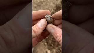 The TINIEST SILVER COIN I’ve ever found!