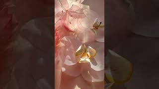мастерская декора Светланы Копцевой #цветыизорганзы #цветыизизолона #ростовыецветы