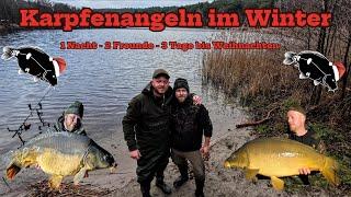 Karpfenangeln im Winter 1 Nacht - 2 Freunde - 3 Tage bis Weihnachten