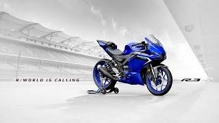 2025 Yamaha R3: a New Face in R-World