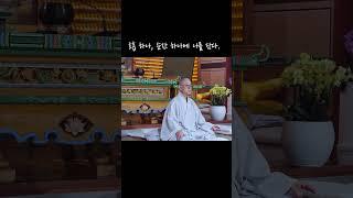 ‍️멈춤 속의 깨달음, 좌선 용맹정진의 순간 ㅣ화성용주사 매월 셋째주 저녁6~자정까지 '스님들과 함께하는 좌선용맹정진' ㅣ#화성용주사 #좌선용맹정진#템플스테이