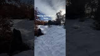 #hiking #walking #snow #trail #colorado #adventure #getoutside #nature #winter #cold #outdoors