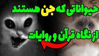 بعضی از حیواناتی که اطرافمان می بینیم جن هستند!!آنها کدامند؟