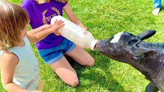 He Fed the Baby COW?!?!