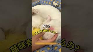 养猫省钱妙招，谁懂呀有个宠物医生朋友️巨巨巨省钱在家自己治病#养猫经验分享 #养猫知识 #养猫日常