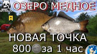 ОЗЕРО МЕДНОЕНОВАЯ ТОЧКА - 800 СЕРЫ ЗА ЧАСРусская Рыбалка 4(РР4)