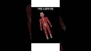 30,000볼트 전압에 감전되면 어떤 느낌일까?