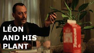 Leon and his plant (all scenes) - Léon: The Professional (1994)