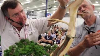 Bonsai demonstration by Tony Tickle